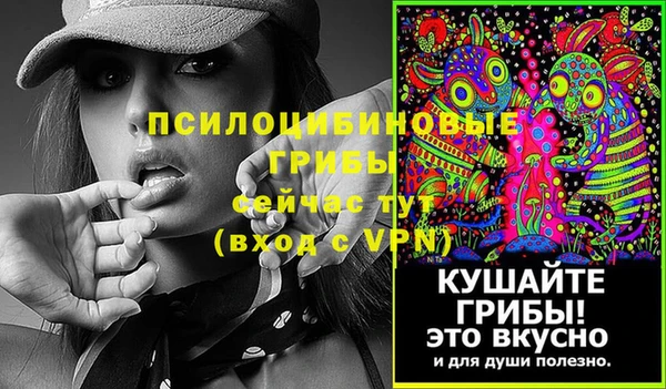 PSILOCYBIN Киренск
