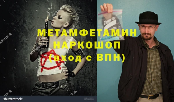 индика Козельск