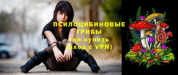 прущая мука Козловка