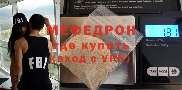 индика Козельск