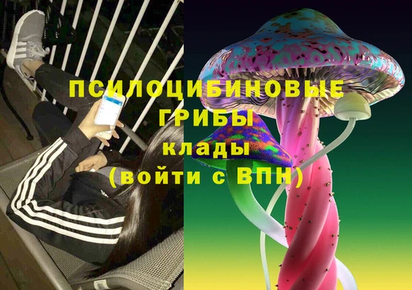 прущая мука Козловка